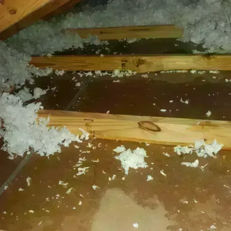 Attic Water Damage in Winfield, KS