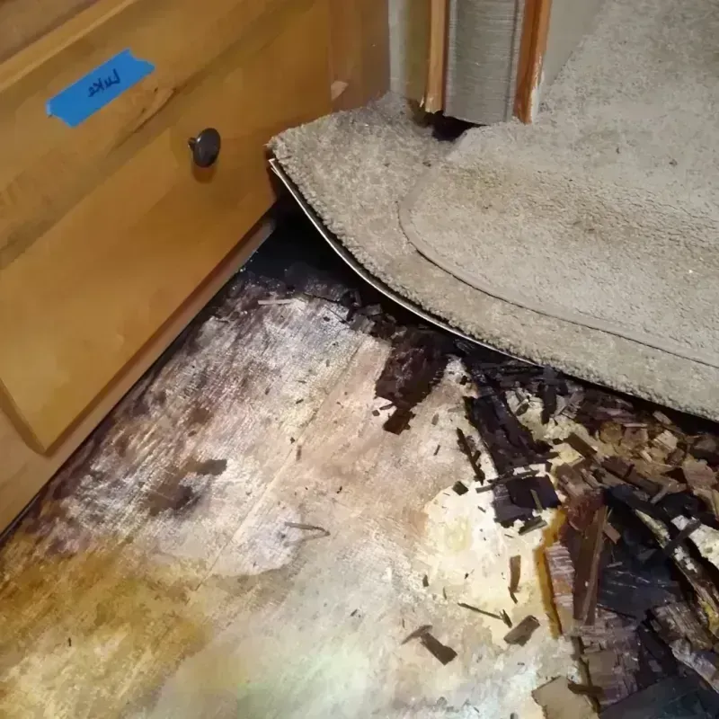 Wood Floor Water Damage in Winfield, KS